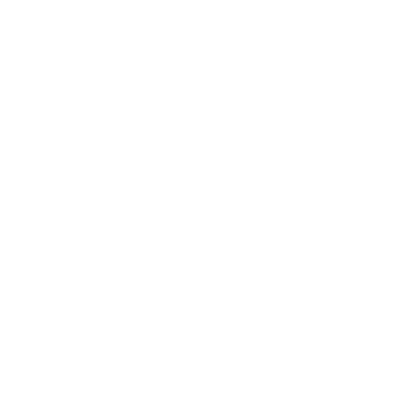 Icône personnalisation